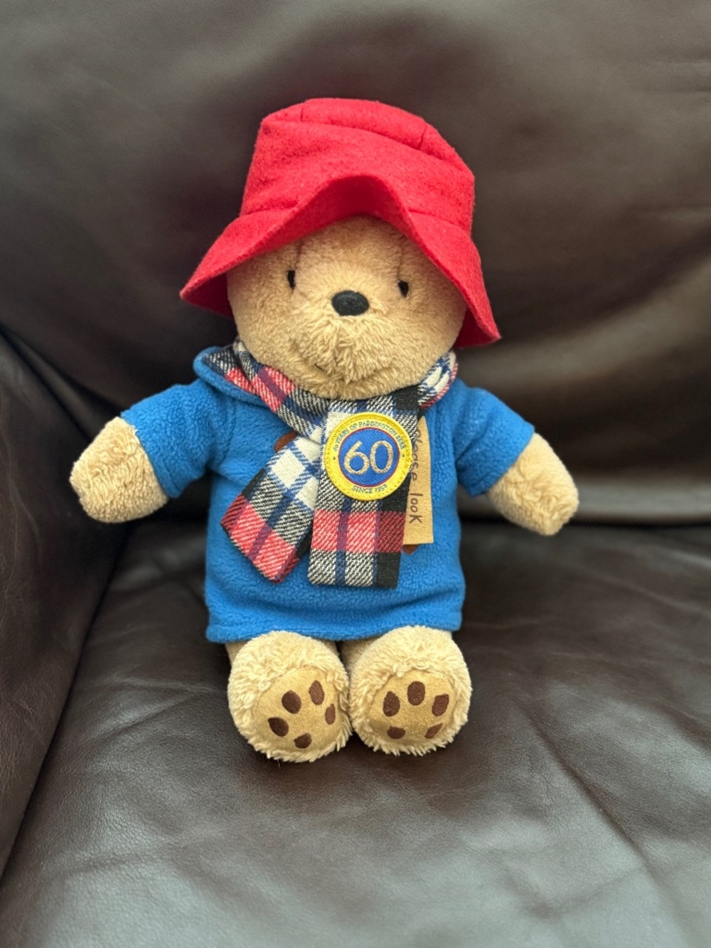 Paddington Bear 60th Anniversary Special Edition Plush – Rainbow Designs